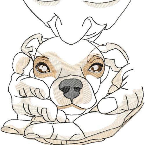 Fichier chien main20x23