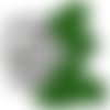 Fichier lionplante11x15
