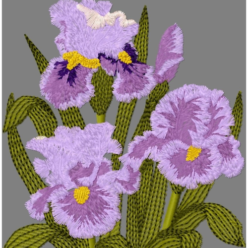 Iris bouquet13x16