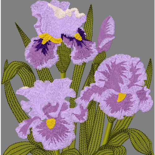 Iris bouquet19x24