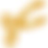 Faitmain10x8