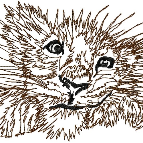 Lionceau croq17x13