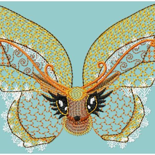 Papillon dentelle18x12