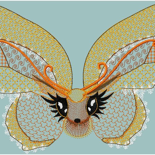 Papillon dentelle31x21