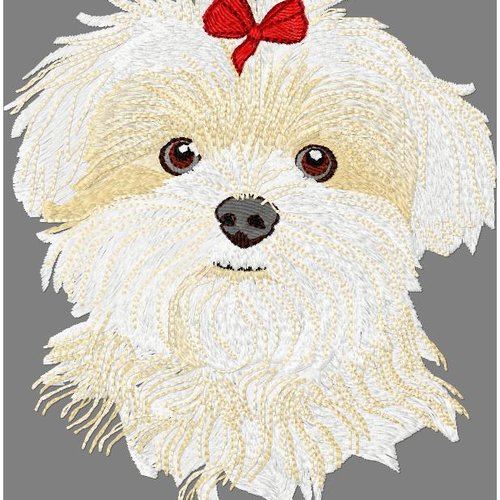 Bichon16x18