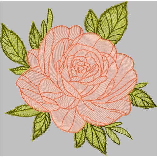 Rose23x23