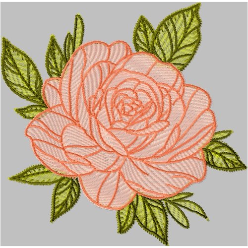 Rose13x13