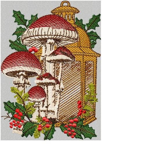 Champignons13x18