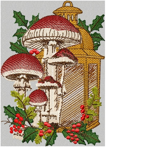 Champignons15x20