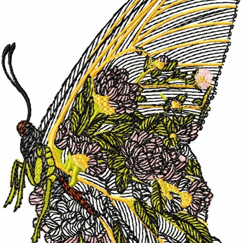 Papillondansfleurb13x18