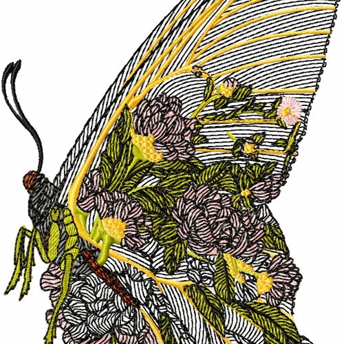 Papillondansfleurb16x22