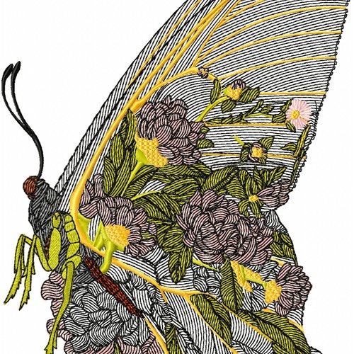 Papillondansfleurb24x32