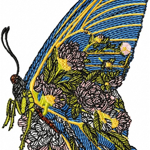 Papillondansfleur13x18