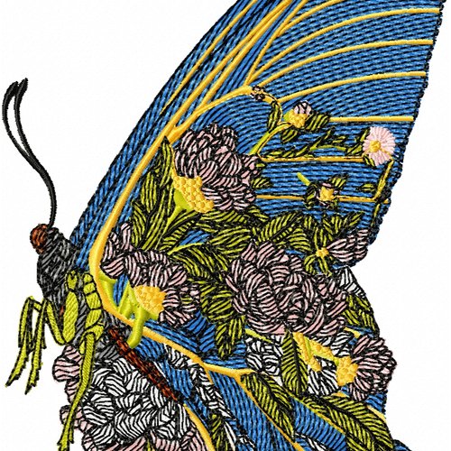 Papillondansfleur16x22