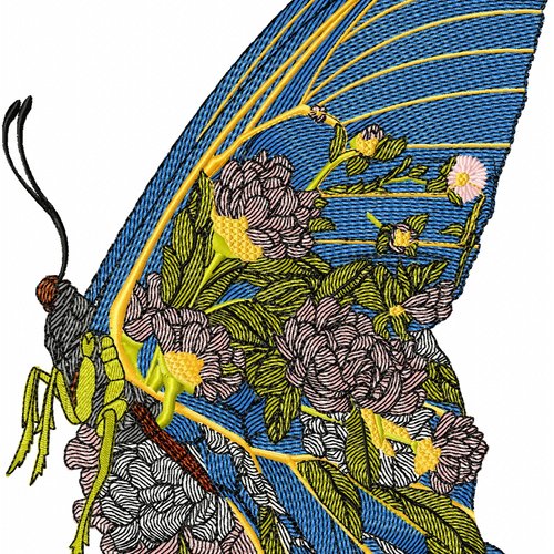 Papillondansfleur24x32