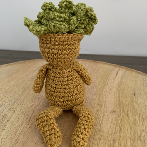 Mini bonhomme plante au crochet 100% fait main