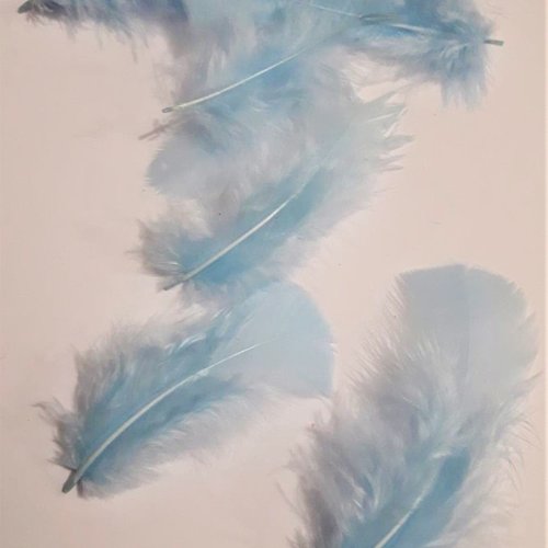 10 plumes de dinde naturelles, bleu ciel  6-8 cm td