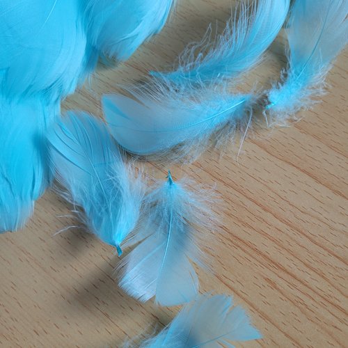 20 plumes turqoises d'oie naturelles td