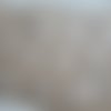 Lot de 30 sachets en papier kraft  avec papillon ta