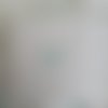 Lot de 20 sachets en papier blanc oiseaux ta