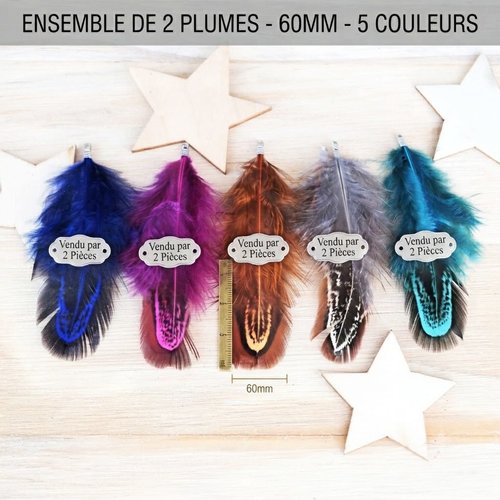 Pendentifs plumes de faisan et embouts argentés 60 mm par 2