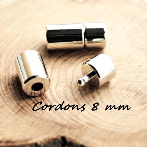 Lot de 2 embouts fermoirs tubes 8mm