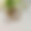 2 estampes ronde papillon blanc 25 mm