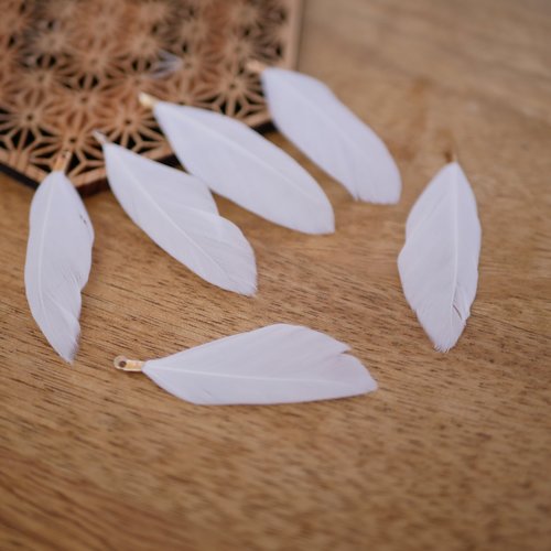 X6 pendentif plume blanc et doré, 55mm