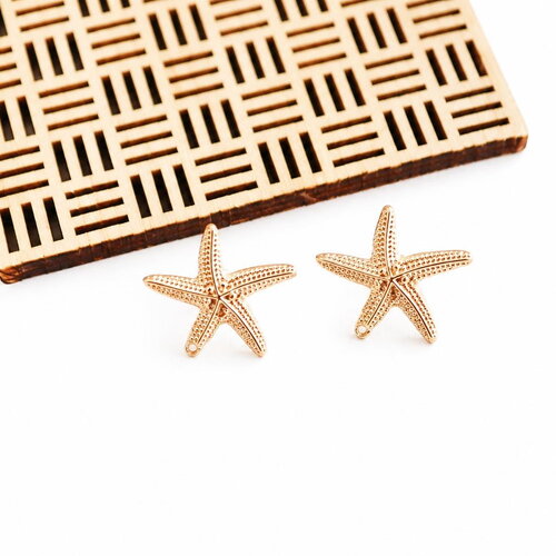 Boucle d'oreille étoile de mer en laiton doré, 20x22mm . inspirées par l'océan, pendentif étoile de mer