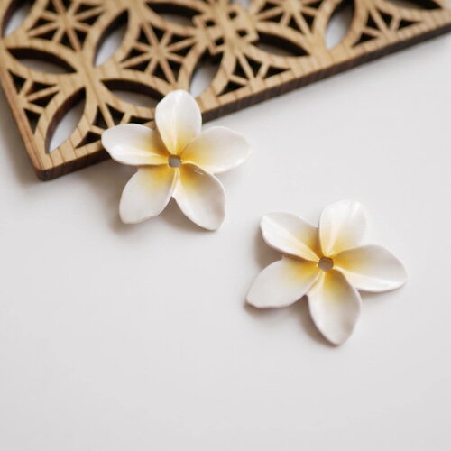 X2 rondelles fleur de frangipanier 30 mm pour créoles. pendentifs fleur blanc et jaune. breloques bohèmes pour bijoux