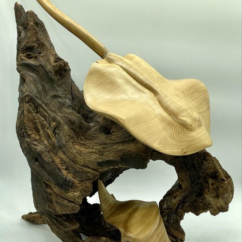 Sculpture raie pastenague en bois