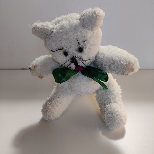 Chat blanc