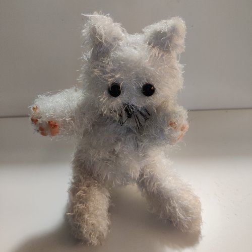 Chat blanc