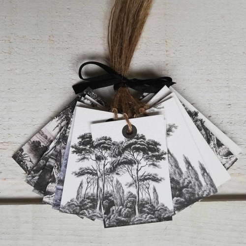 Lot de 18 étiquettes arbre (blanc)