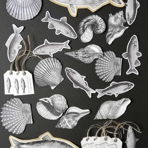 Lot de 28 étiquettes graphismes poisson coquillage