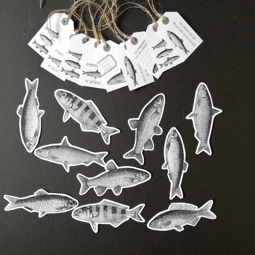 Lot de 19 étiquettes graphismes poisson