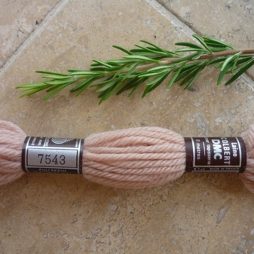 Échevette de laine colbert dmc coloris 7543