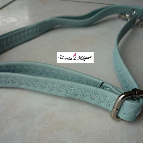 Anse de sac bleue réglable