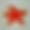Doudou de bain - étoile rouge à feuilles