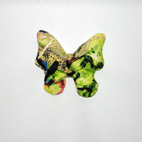 Bouillotte sèche - papillon vert