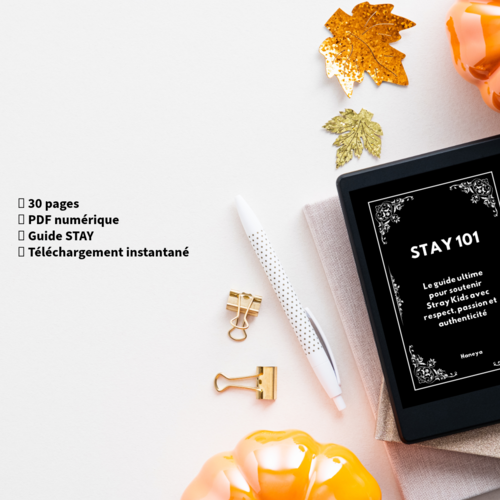 Stay 101  le guide ultime pour soutenir stray kids avec respect, passion & authenticité