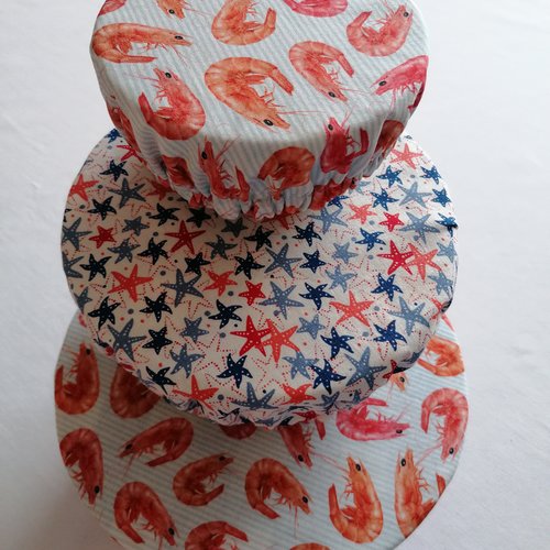 Charlottes alimentaires