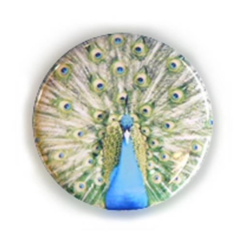 Badge paon peacock oiseau majestueux turquoise animal nature pins ø25mm 