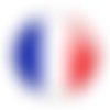 Badge drapeau france french flag rugby foot basket hand supporter les bleus ø25mm 
