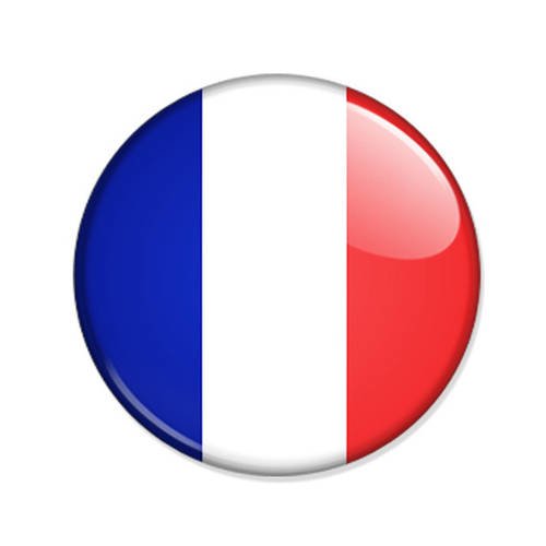 Badge drapeau france french flag rugby foot basket hand supporter les bleus ø25mm 