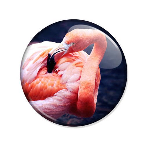 Badge flamand rose pink flamingo nature oiseau bird pop vintage retro pins ø25mm 