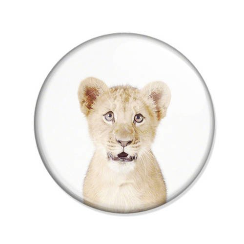 Badge lionceau animal petit lion bête féroce prédateur jungle pin button ø25mm 
