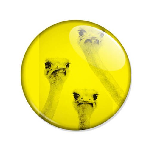 Badge autruches ostriches nature animal oiseau pop jaune pins button ø25mm 