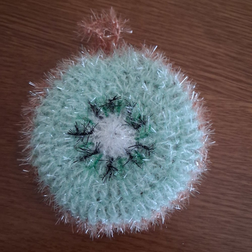 Tawashi, éponge kiwi