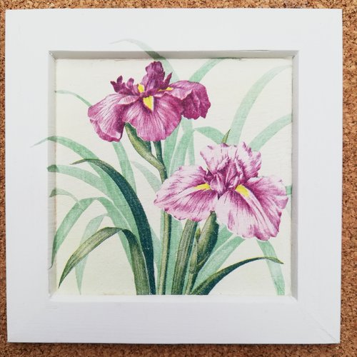 Cadre iris